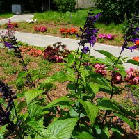 Memoriam-Garten